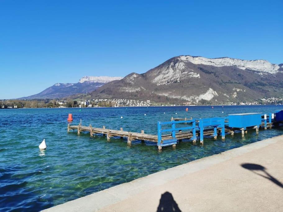 The Duplex Annecy Tgv; Vielle Ville Экстерьер фото